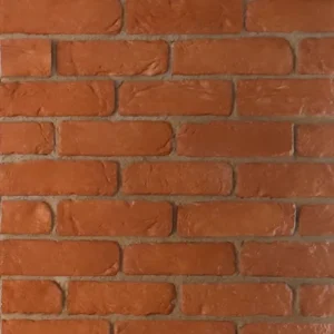 Cultured Bricks